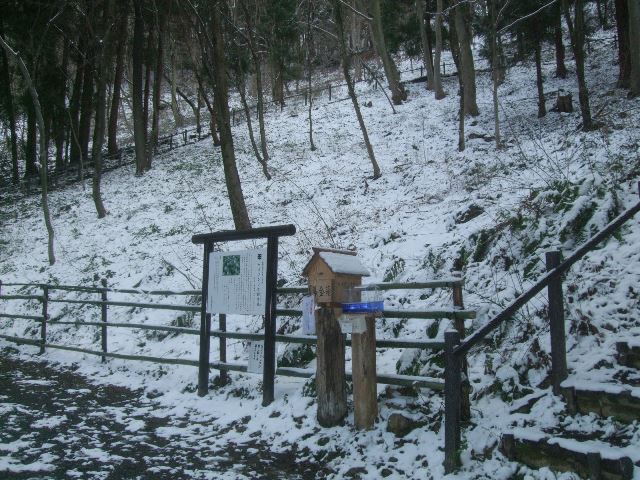 005.jpg群生地7133.jpg