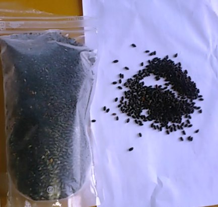 黒紫米.jpg