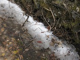 IMG_1302.JPG