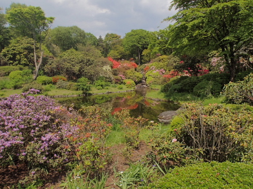 320160507赤城自然園.jpg