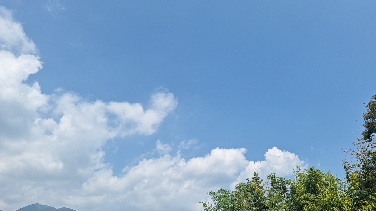 IMG_20250830_123425.jpg