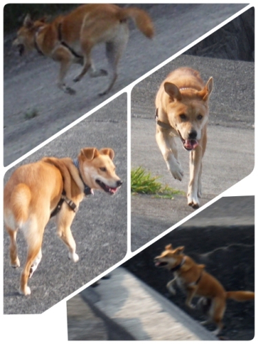 2014-08-28-22-26-06_deco (480x640).jpg