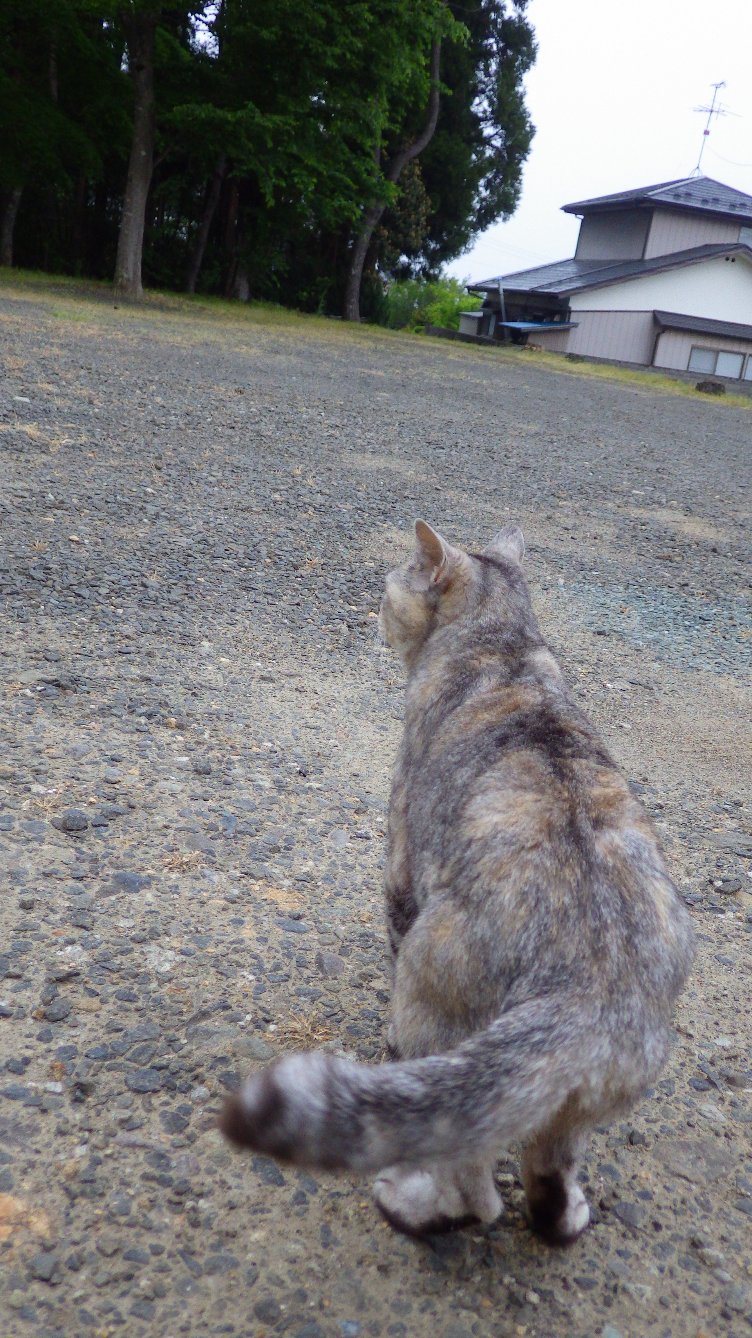 IMGP0628.JPG
