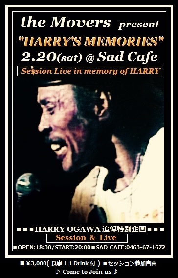 HARRY'S MEMORIES yellow 3.jpg