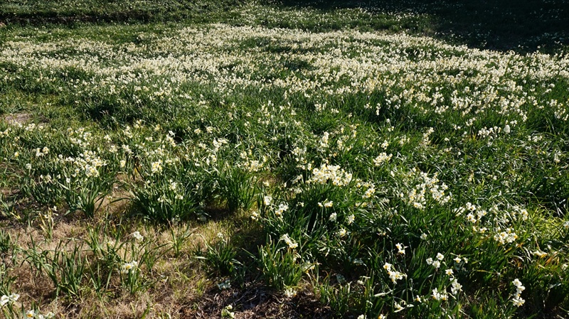 20150108 13334501.JPG