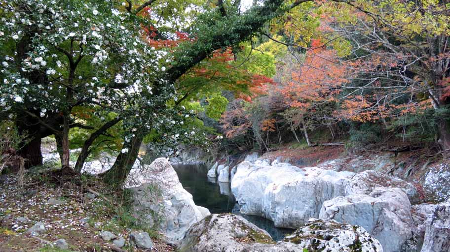 猿飛千壺峡 (43).JPG