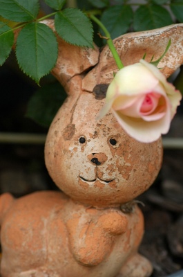 コピー ～ f 174.jpg