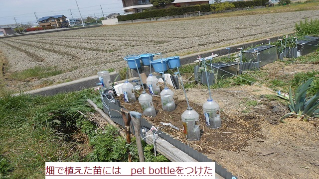 へと.JPG