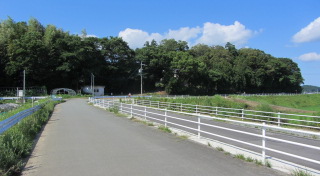 C:\fakepath\IMG_3477.JPG