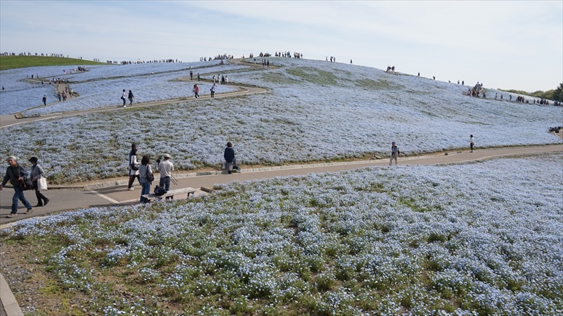 20150430 08085101.JPG