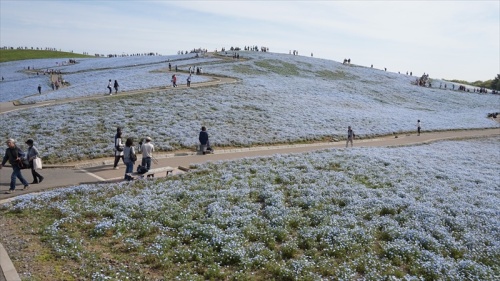 20150430 08085101.JPG