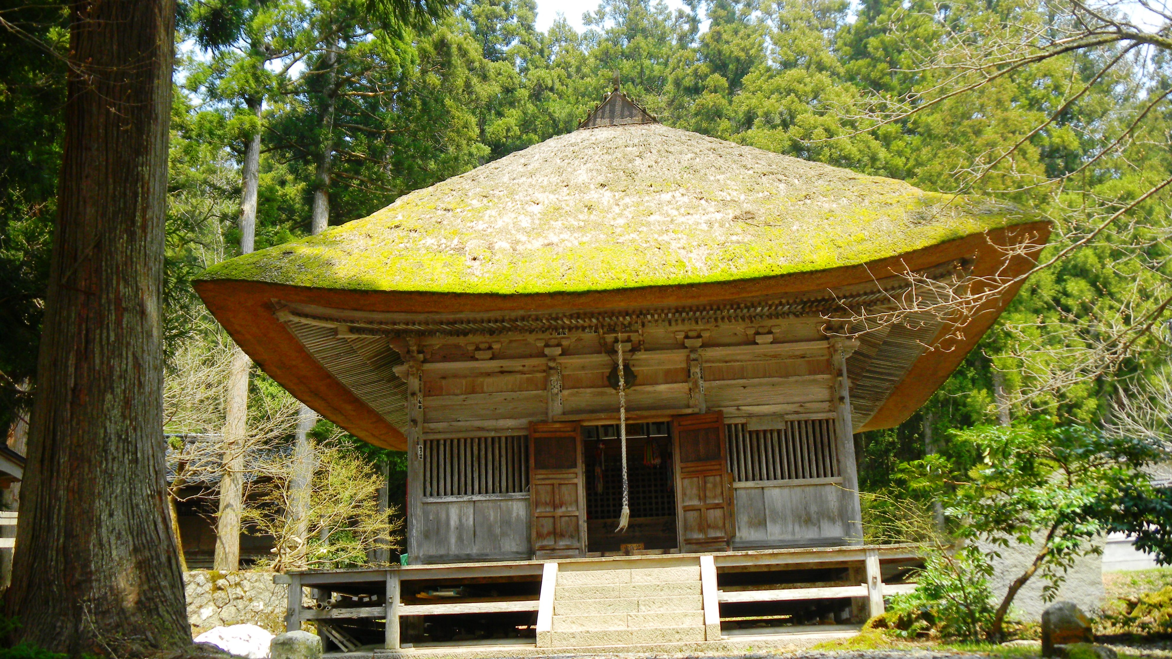 017平等寺 (4).JPG