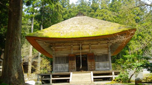 017平等寺 (4).JPG