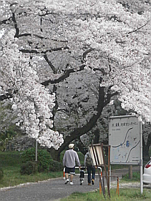 s相模川＋2017_0413_163400.jpg