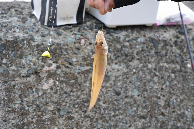 showPhoto (640×426)