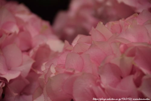 シャネルの 2013 年クルーズ コレクションはマリー アントワネットからインスピレーションを得たものです