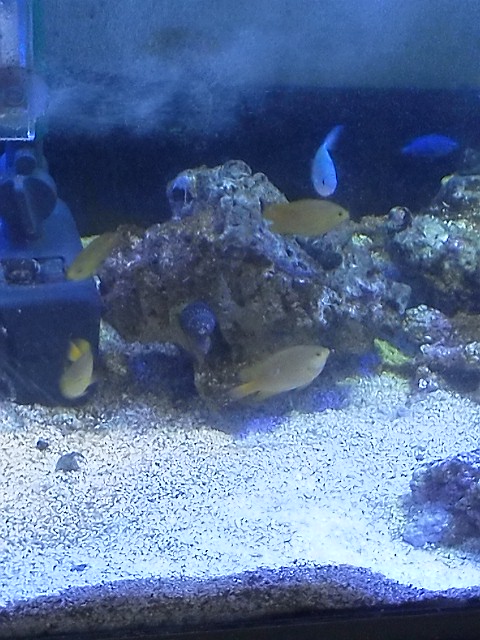 DSC_2566.jpg
