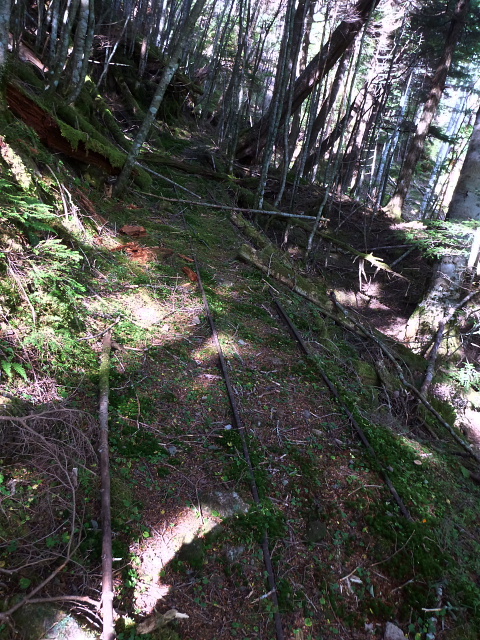 八ヶ岳201310021.jpg