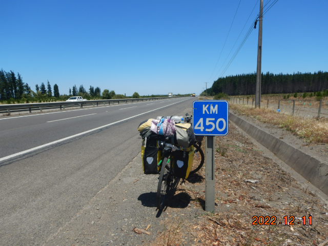 DSCN0453.JPG