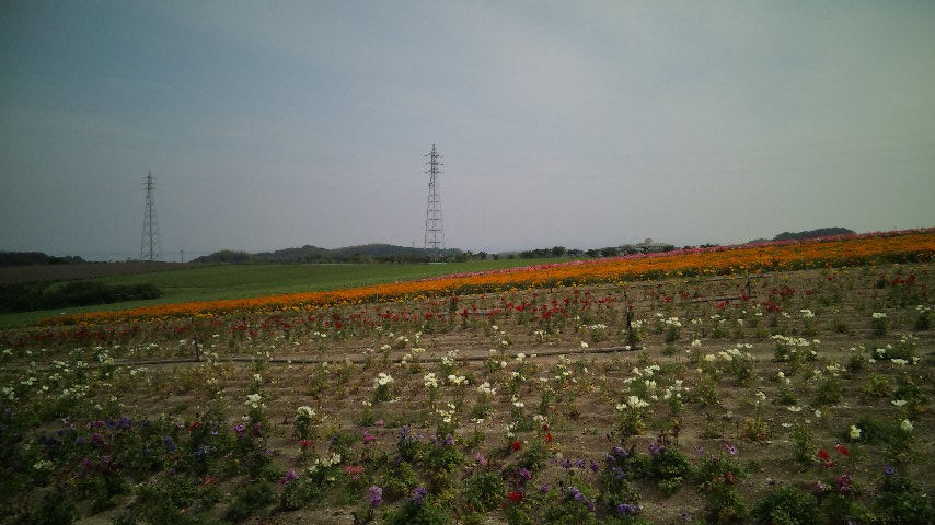 DVC00065(V.2012_05_27__11_32_16).jpg