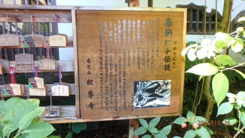 20161026 10502801.JPG