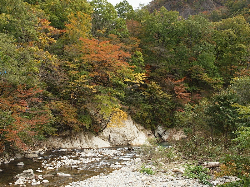 PA229641.JPG