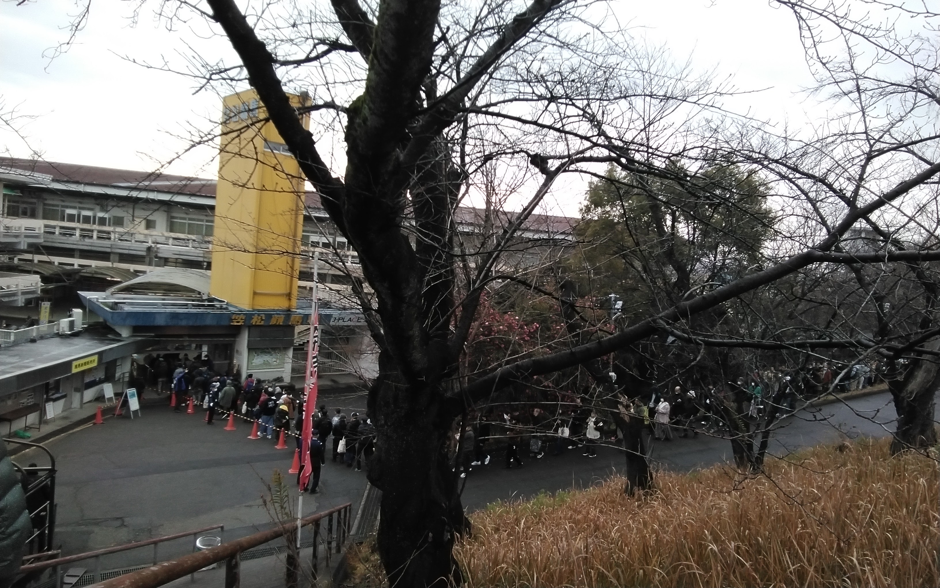 ２３大晦日大行列.jpg