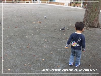 DSCF8581.JPG