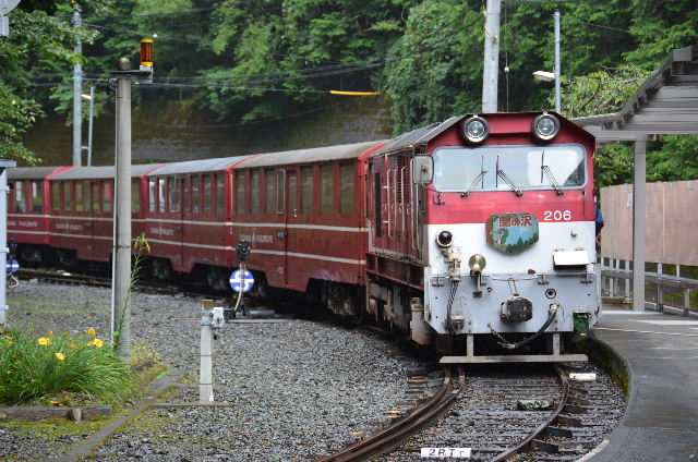 DSC_3859.JPG