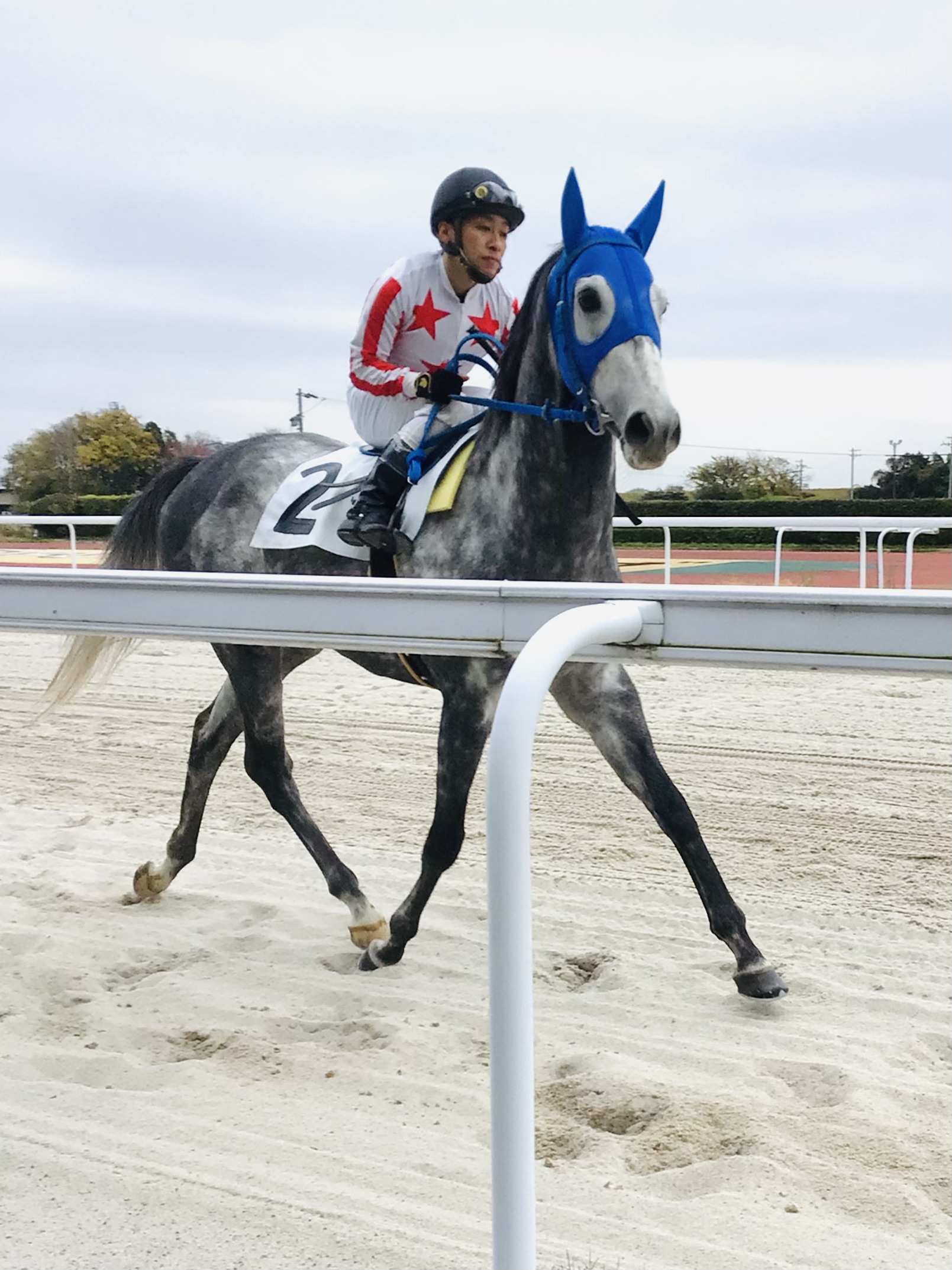 高野馬上.jpg