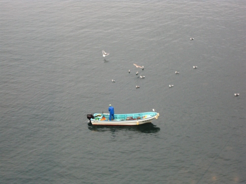 網を上げる漁夫カモメが飛び交う１.JPG