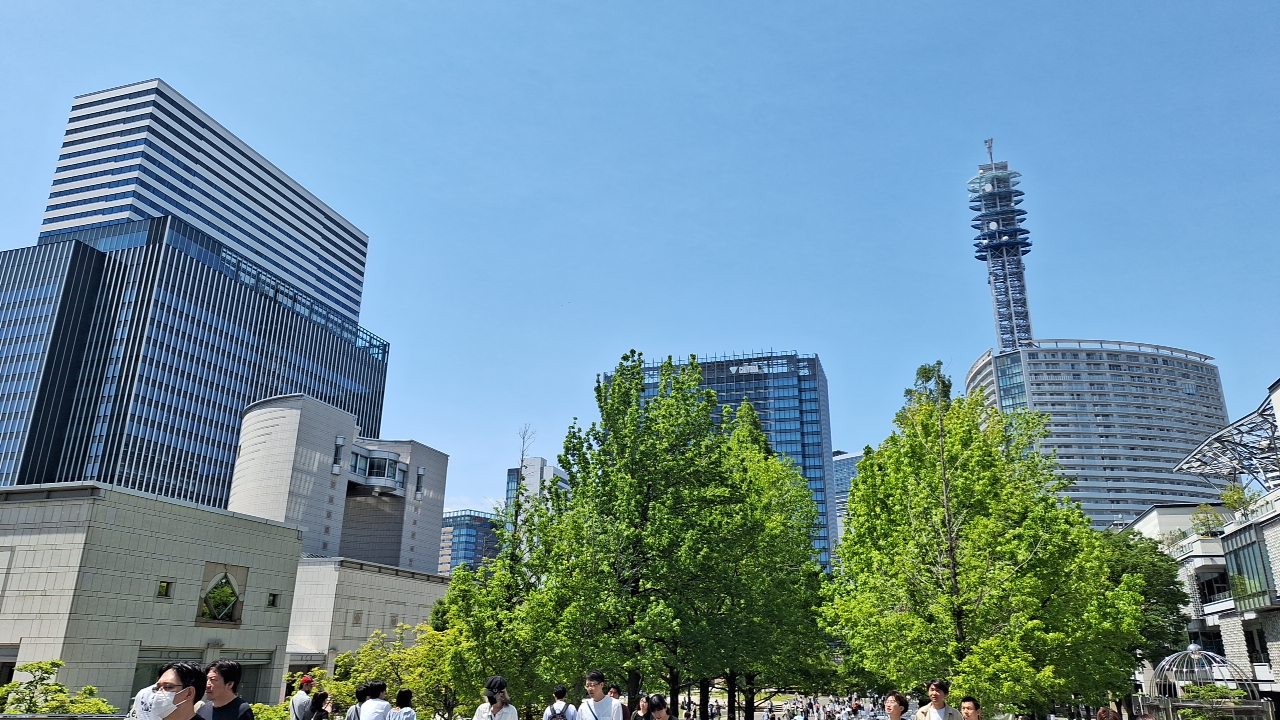 IMG_20250503_123930.jpg