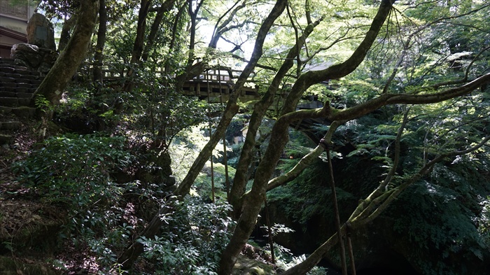 20150915 13331101.jpg