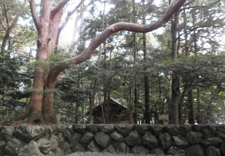 葭原神社（あしはらじんじゃ）.jpg