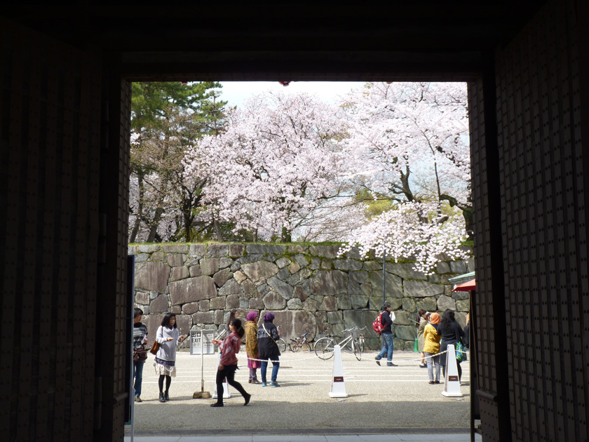 nagoyajyo-w035.jpg