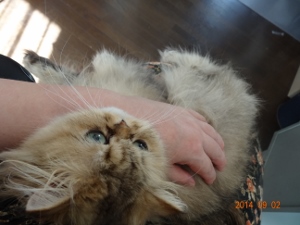 DSC04303 (300x225).jpg