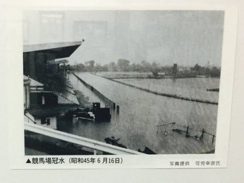 冠水.jpg