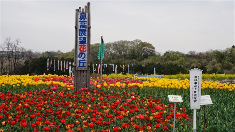 20150419 10220408.JPG