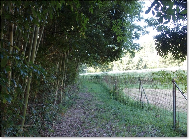 21引き返します