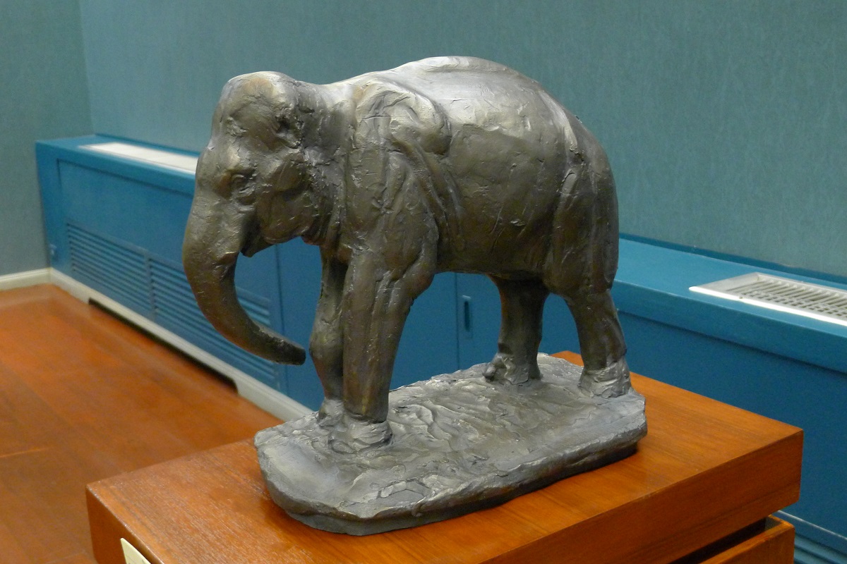 P1380246.JPG