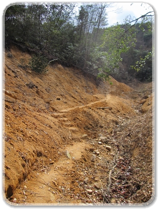 己斐峠（土砂災害付近の従走路）_9002.jpg