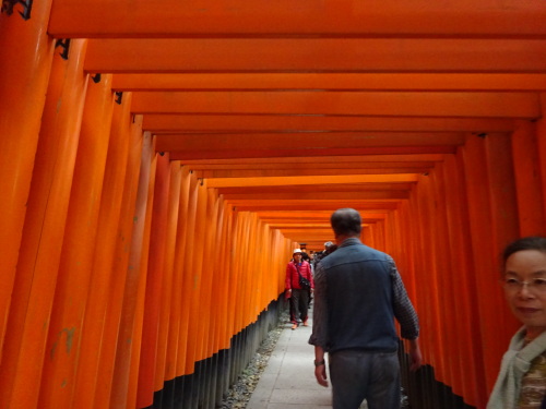 伏見稲荷大社  (9).JPG