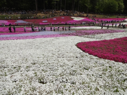 DSC01368 (640x480).jpg