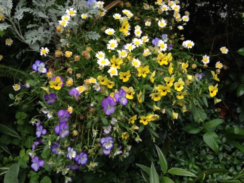 IMG_9173 (640x480).jpg