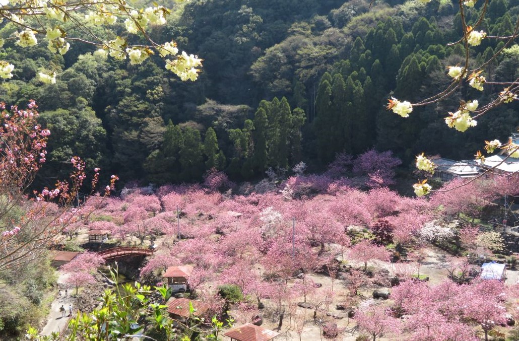 一心寺 (18).jpg