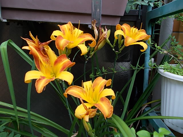 DSCN0495.JPG
