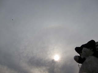 IMG_8886.jpg