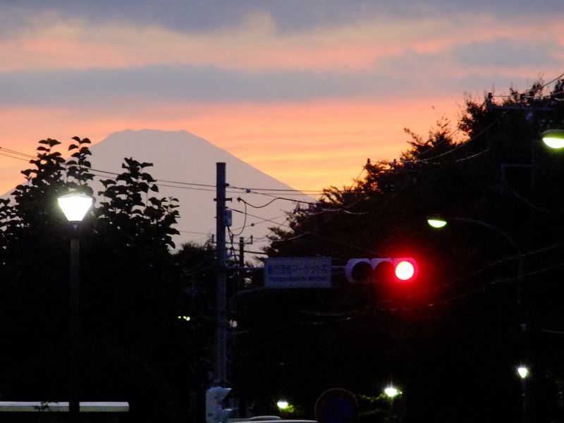 DSCF5607 (800x600).jpg