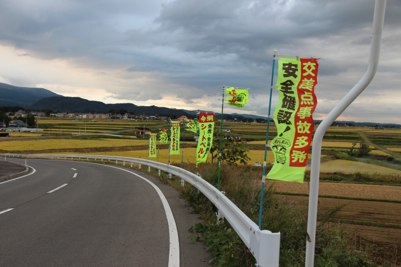 100314大玉村景観を壊すのぼり旗.jpg