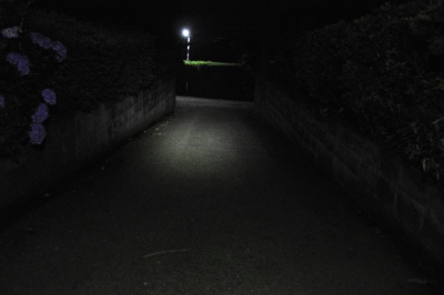 写真00004.jpg